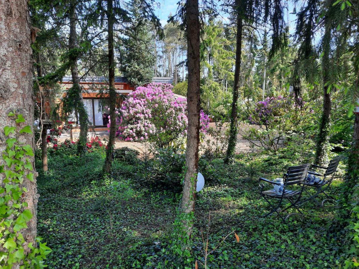 Ferienhaus Leon Mit Sauna Rehburg-Loccum Exterior foto