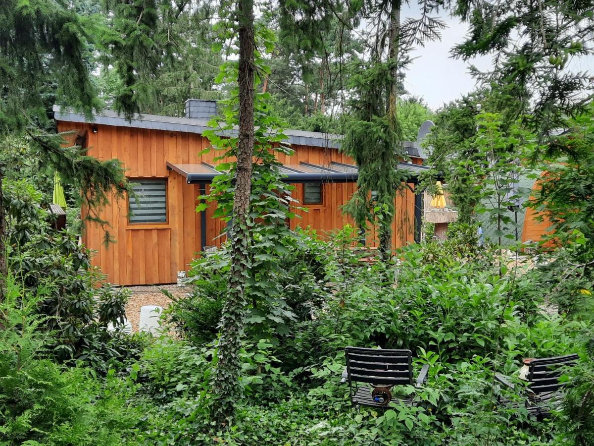 Ferienhaus Leon Mit Sauna Rehburg-Loccum Exterior foto