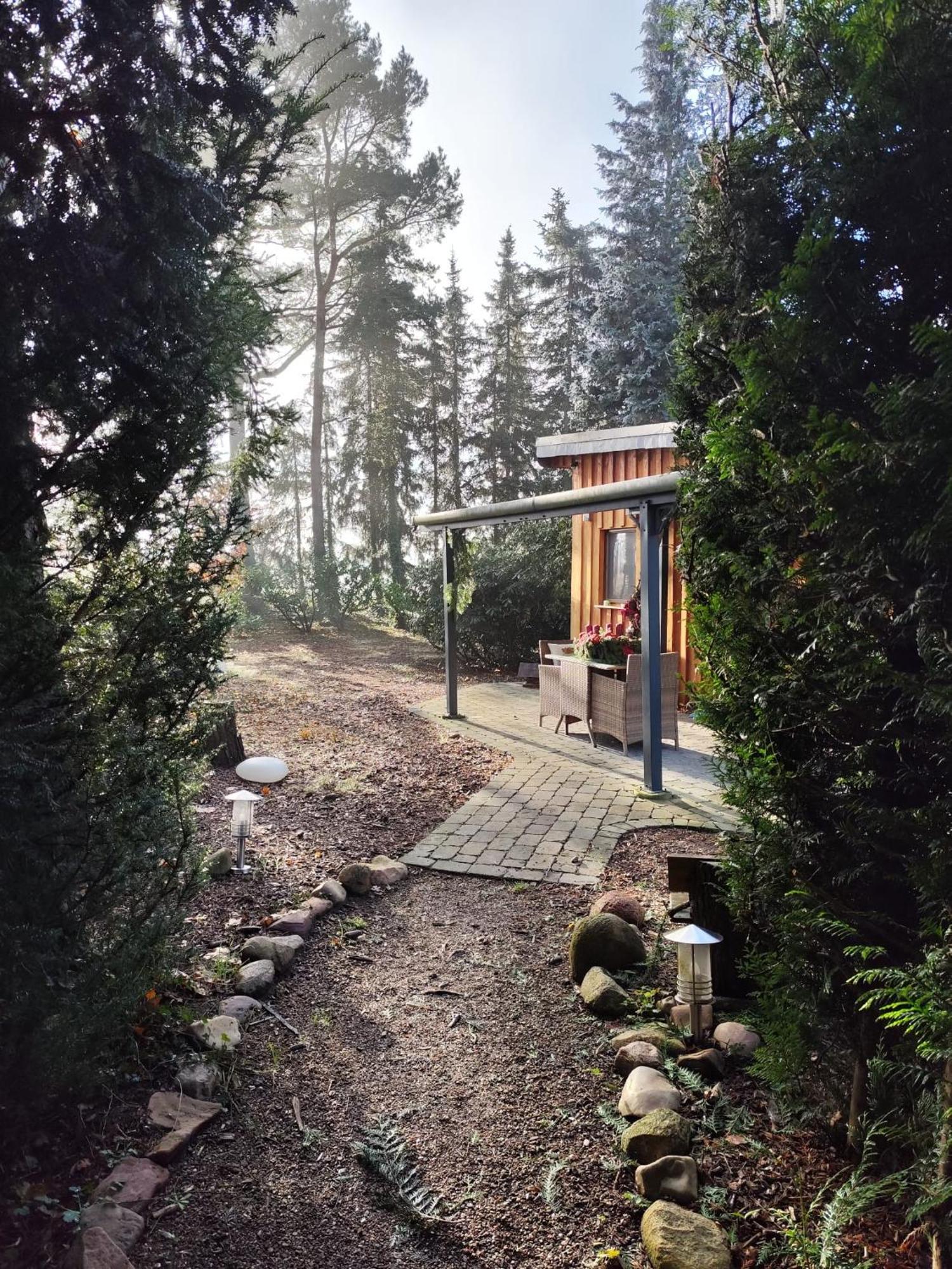 Ferienhaus Leon Mit Sauna Rehburg-Loccum Exterior foto
